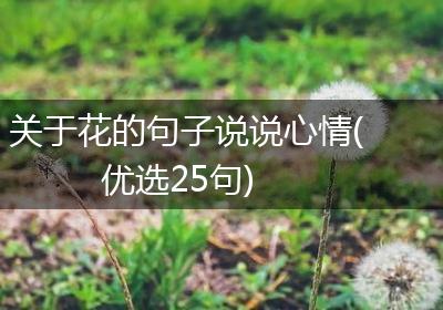关于花的句子说说心情(优选25句)