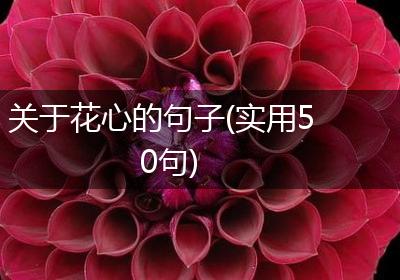 关于花心的句子(实用50句)