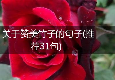 关于赞美竹子的句子(推荐31句)