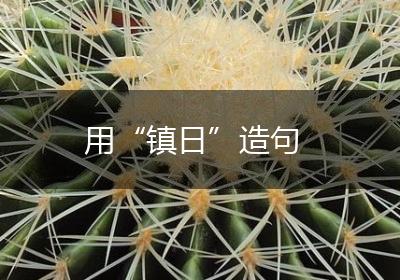 用“镇日”造句
