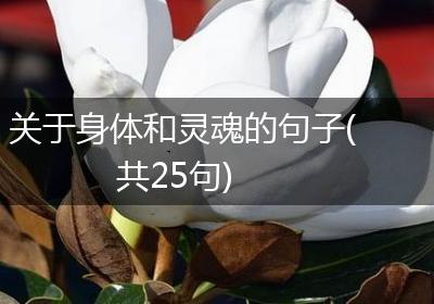 关于身体和灵魂的句子(共25句)