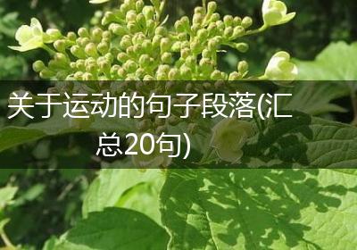 关于运动的句子段落(汇总20句)