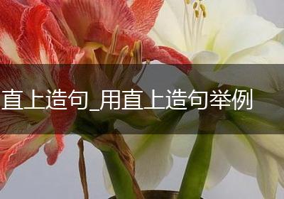 直上造句_用直上造句举例