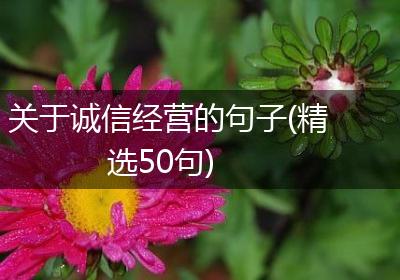 关于诚信经营的句子(精选50句)