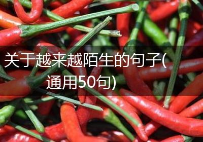 关于越来越陌生的句子(通用50句)