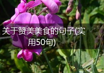 关于赞美美食的句子(实用50句)