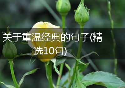 关于重温经典的句子(精选10句)