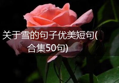 关于雪的句子优美短句(合集50句)