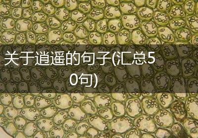 关于逍遥的句子(汇总50句)