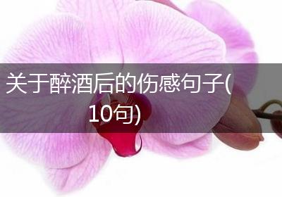 关于醉酒后的伤感句子(10句)