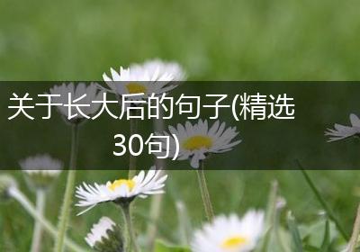 关于长大后的句子(精选30句)