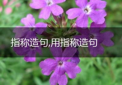指称造句,用指称造句
