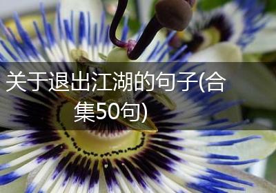 关于退出江湖的句子(合集50句)