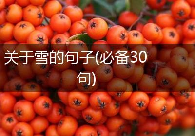 关于雪的句子(必备30句)