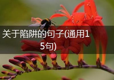 关于陷阱的句子(通用15句)