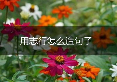 用志行怎么造句子