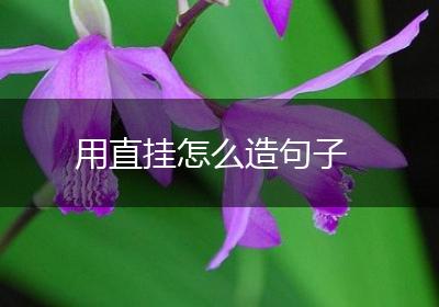 用直挂怎么造句子