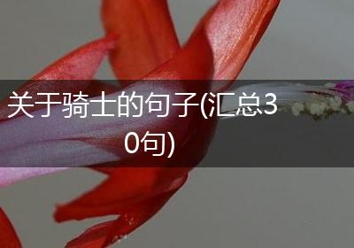 关于骑士的句子(汇总30句)