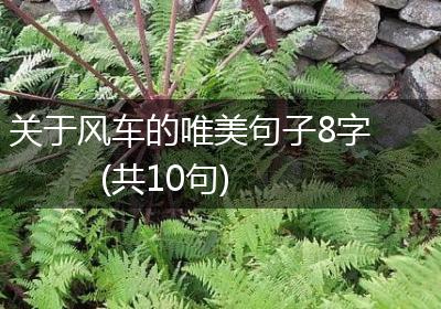 关于风车的唯美句子8字(共10句)