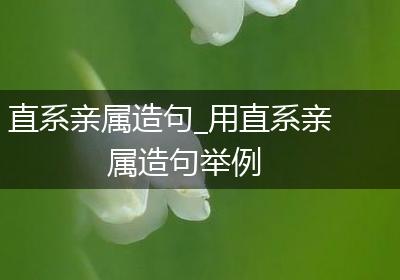 直系亲属造句_用直系亲属造句举例