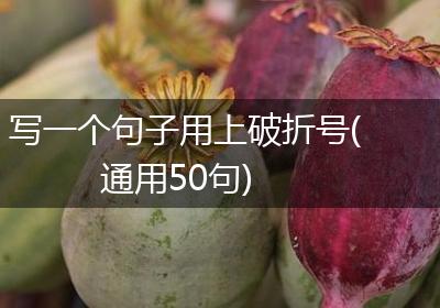 写一个句子用上破折号(通用50句)