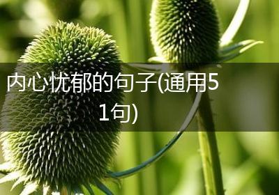 内心忧郁的句子(通用51句)