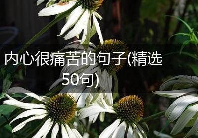 内心很痛苦的句子(精选50句)