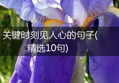 关键时刻见人心的句子(精选10句)