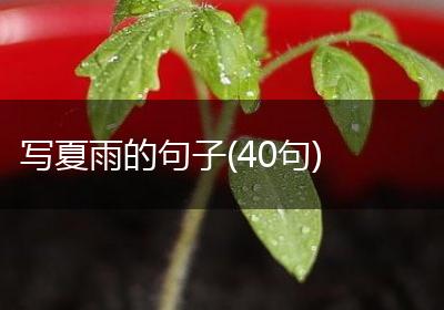 写夏雨的句子(40句)