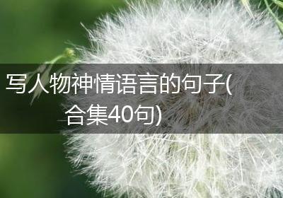 写人物神情语言的句子(合集40句)