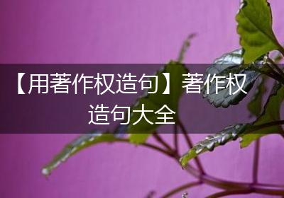 【用著作权造句】著作权造句大全