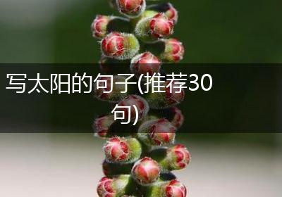 写太阳的句子(推荐30句)
