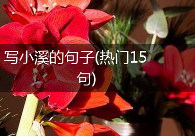 写小溪的句子(热门15句)