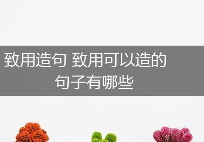 致用造句 致用可以造的句子有哪些