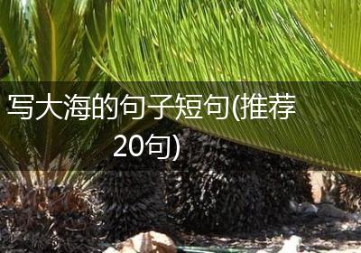 写大海的句子短句(推荐20句)