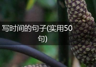 写时间的句子(实用50句)