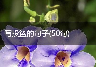 写投篮的句子(50句)