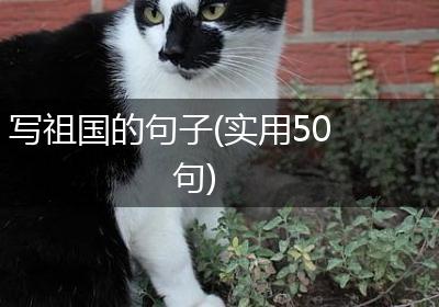 写祖国的句子(实用50句)
