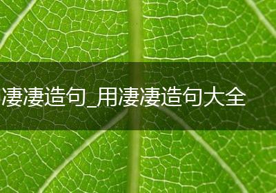 凄凄造句_用凄凄造句大全