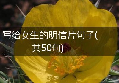 写给女生的明信片句子(共50句)