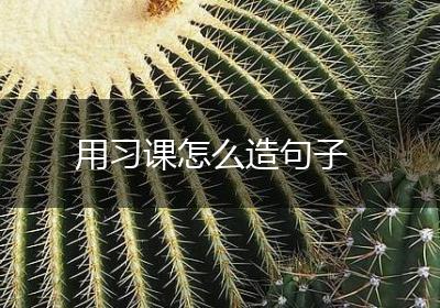 用习课怎么造句子