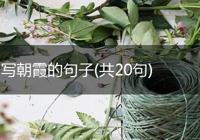 写朝霞的句子(共20句)