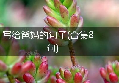 写给爸妈的句子(合集8句)