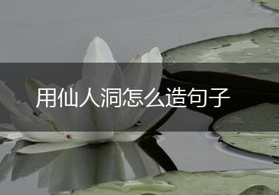用仙人洞怎么造句子