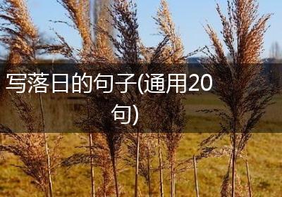 写落日的句子(通用20句)