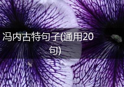 冯内古特句子(通用20句)