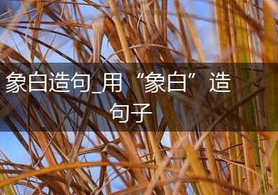 象白造句_用“象白”造句子