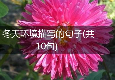 冬天环境描写的句子(共10句)