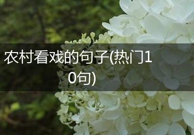农村看戏的句子(热门10句)