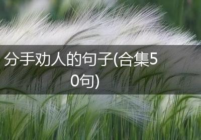 分手劝人的句子(合集50句)
